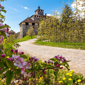 Un picnic nel giardino delle delizie