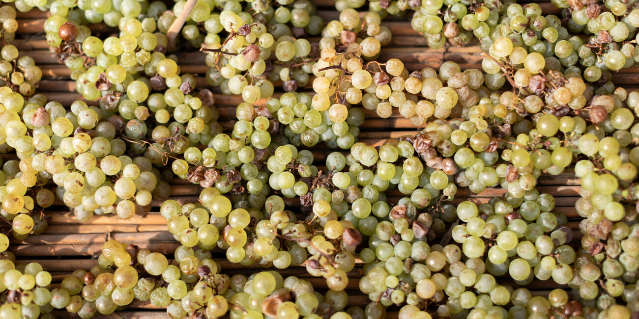 DiVinNosiola dà il via alla rassegna Vini e Montagna #3