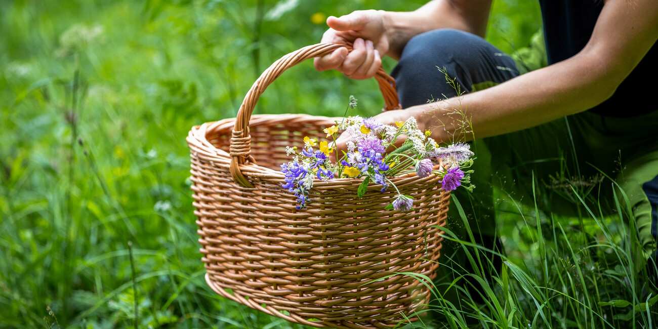 In Trentino la primavera è nutrimento che si fa scoperta #1