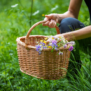 In Trentino la primavera è nutrimento che si fa scoperta