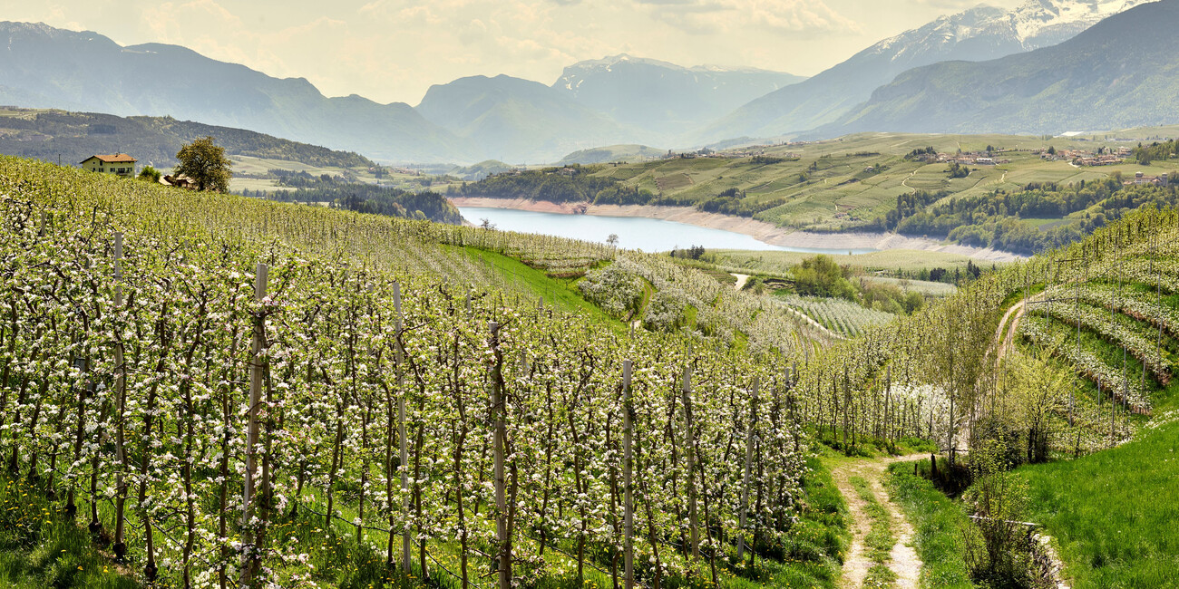 Ponti di Primavera 2026 in Trentino #1