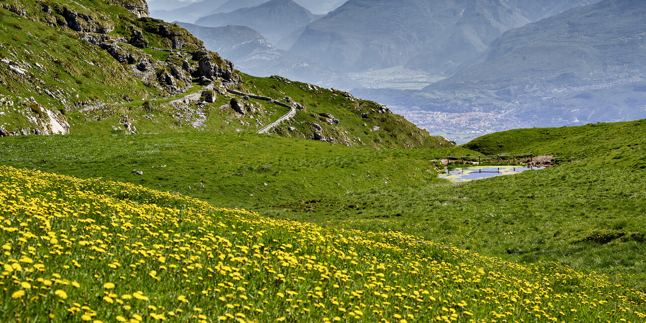 Quattro passi in serenità: il dolce risveglio della primavera #1