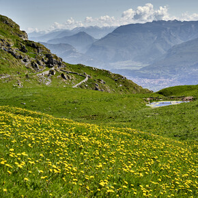 Quattro passi in serenità: il dolce risveglio della primavera