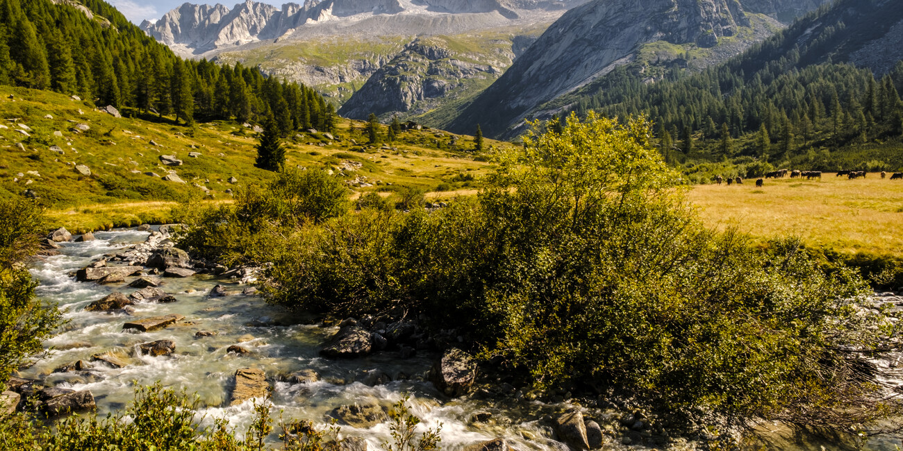 Vie e sentieri: i cammini per raccontare la storia del Trentino #1