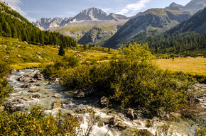 Vie e sentieri: i cammini per raccontare la storia del Trentino