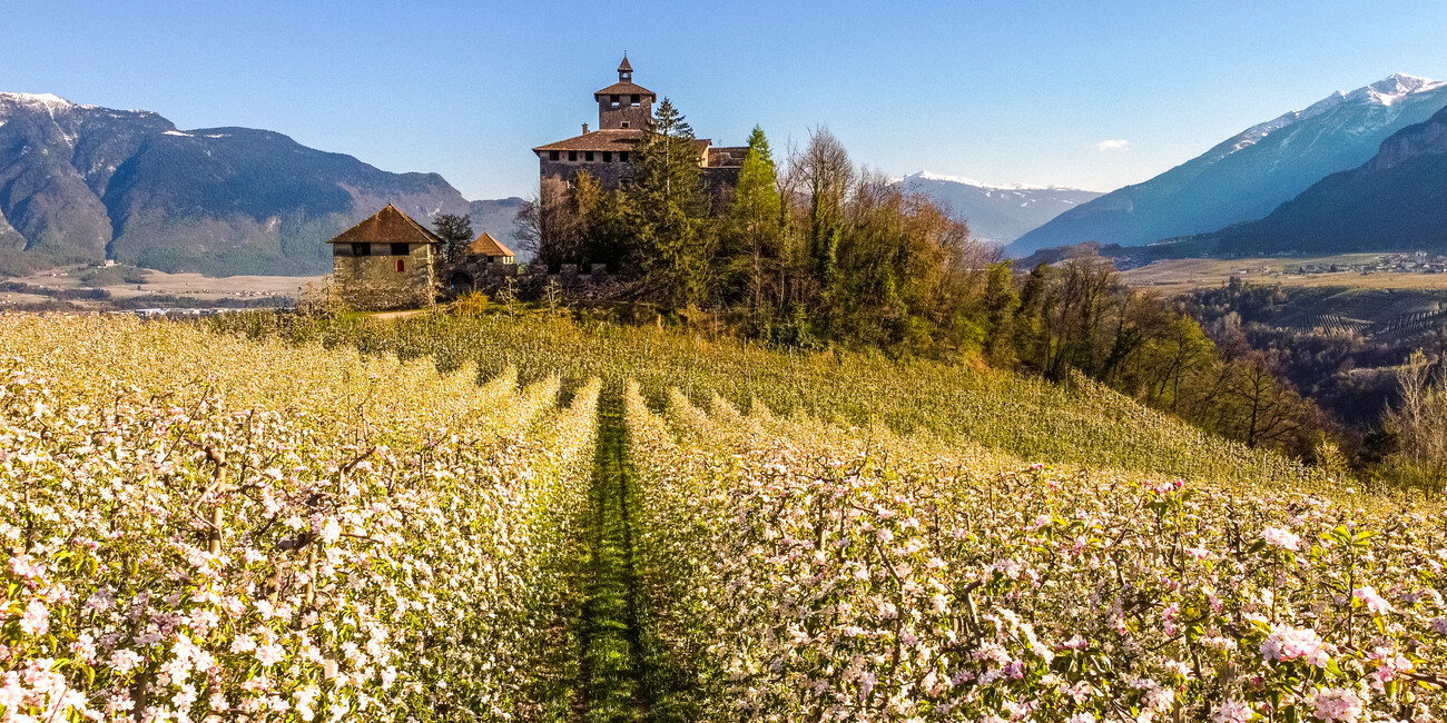 Un intreccio di epoche e tradizioni anima la primavera culturale trentina #1