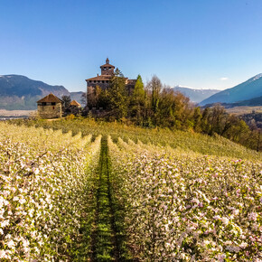 Un intreccio di epoche e tradizioni anima la primavera culturale...