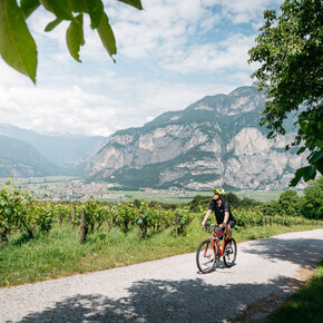 A piedi e in bici tra cantine e filari 