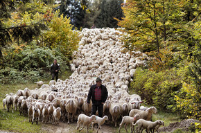Festivalagenda van deze herfst in Trentino