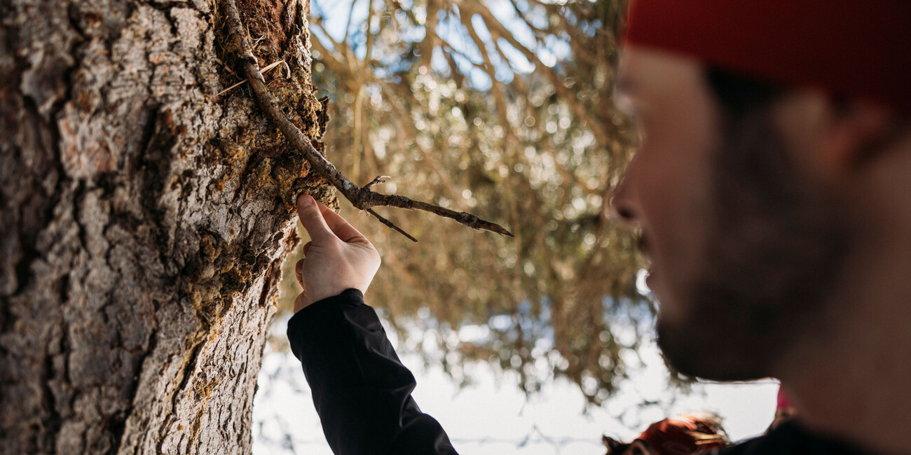 Winter wellness: Trentino for mind, body and soul #2