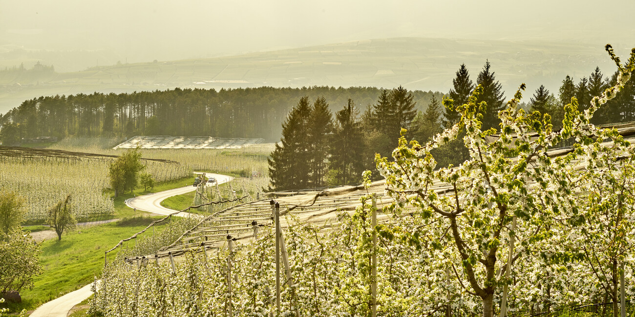 Journeys into the history and traditions of mountain valleys  AT A LEISURELY PACE ALONG THE PATHWAYS OF TRENTINO #2