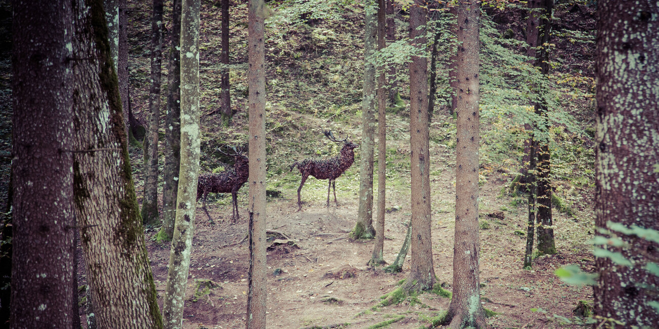 A blend of artistic and natural beauty for culture lovers  TRENTINO, A PLACE WHERE ART AND NATURE MEET #3