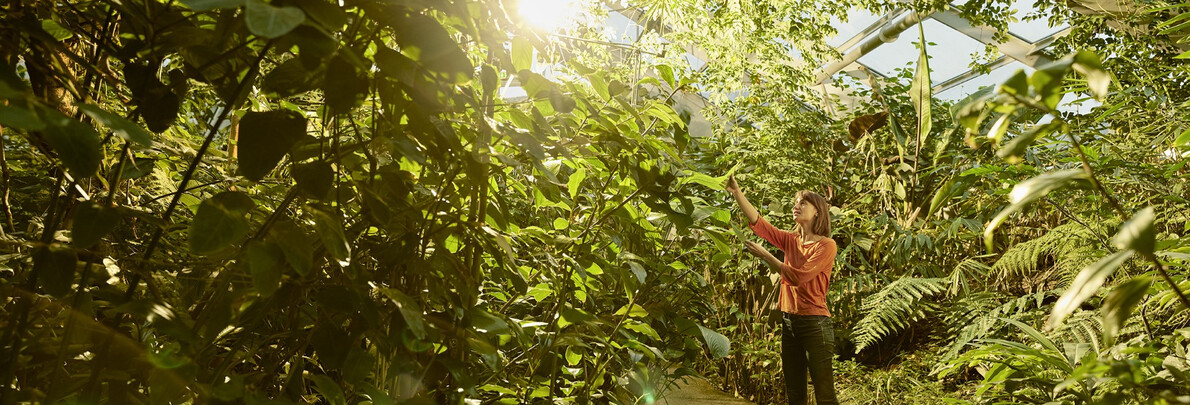 Das Gebirge im Herbst? Ein ganz anderes Schauspiel!
