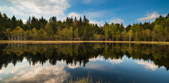 Reservatnetz Cembra - Avisio | © Foto Archivio Rete di Riserve Cembra – Avisio