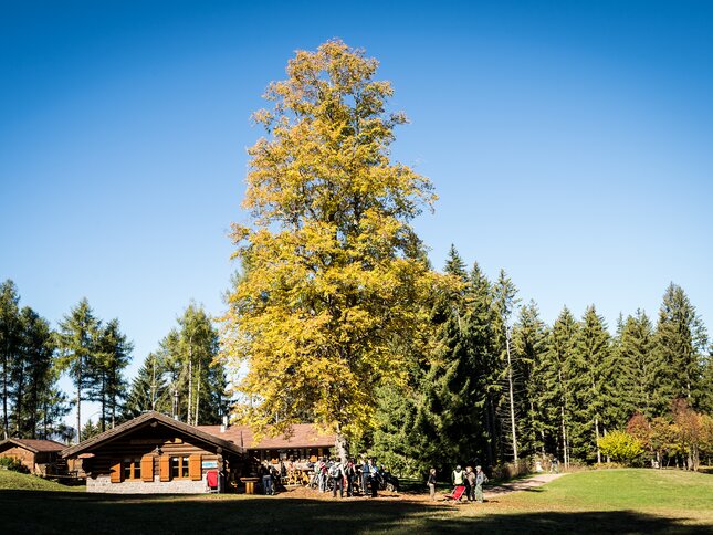 Rete di Riserve Cembra – Avisio | © Foto Archivio Rete di Riserve Cembra – Avisio
