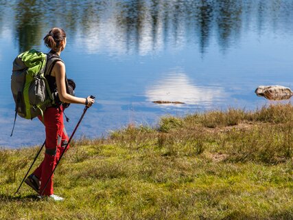 Rete di Riserve Cembra – Avisio | © Foto Archivio Rete di Riserve Cembra – Avisio