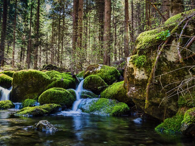 Rete di Riserve Alto Noce | © Foto Archivio Apt Val di Sole
