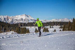 Lavarone Centro Fondo Millegrobbe