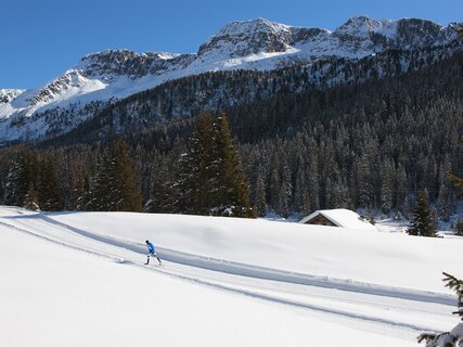 Centro Fondo Moena-Passo San Pellegrino Alochet