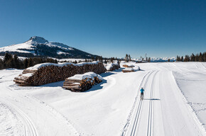 Centro Fondo Passo di Lavazè 