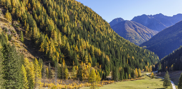 Val di Sole - Val di Rabbi - panorama