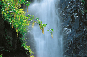 Altopiano di Piné - Cascata del Lupo | © Giovanni Cavulli