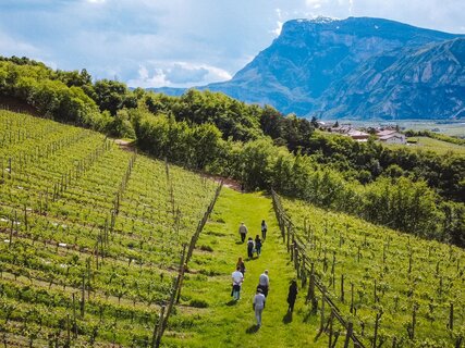 Плоскогорье Паганелла, Доломити-ди-Брента, озеро Мольвено и равнина Роталиана