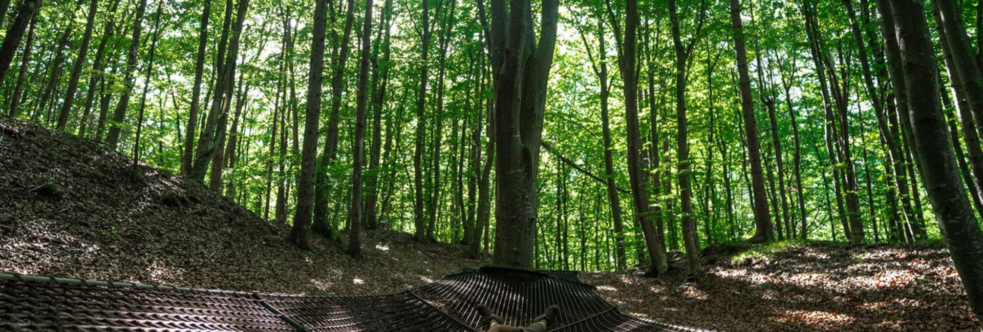 Parco del Respiro - Fai della Paganella | © Marco Santinelli