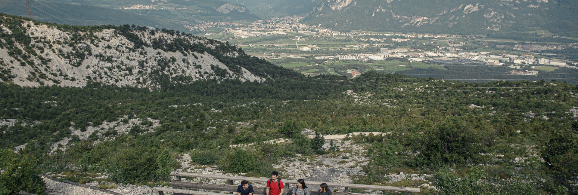 Orme dei dinosauri