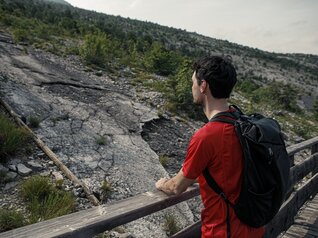 Orme dei dinosauri