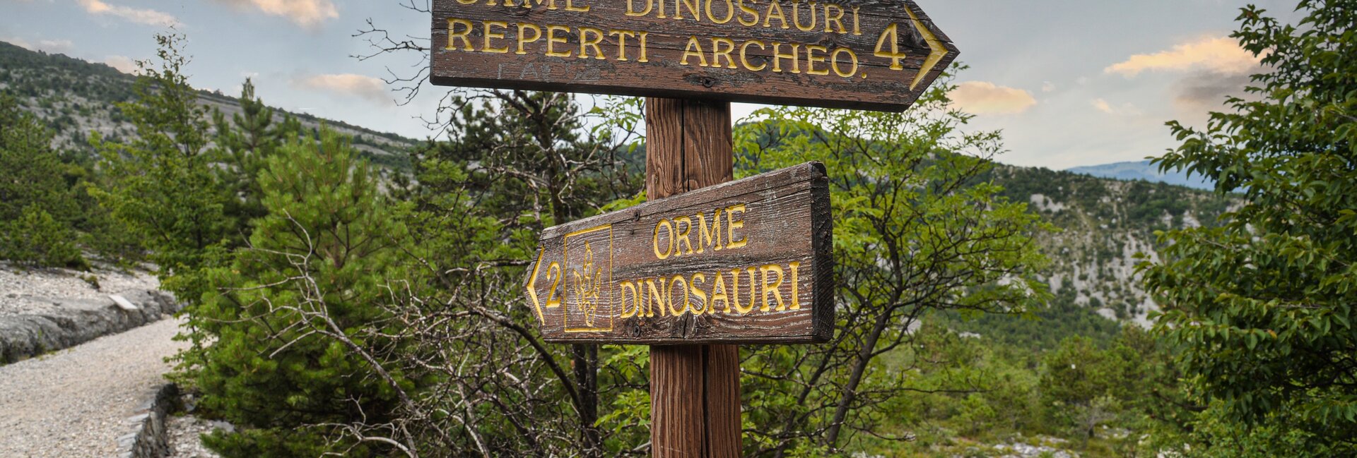 Orme dei dinosauri