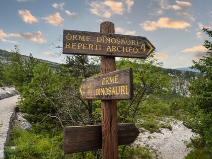 Orme dei dinosauri