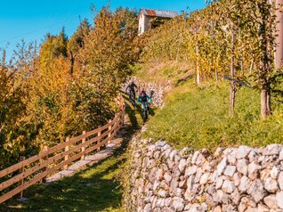 Alpe Cimbra – Folgaria Lavarone i Luserna