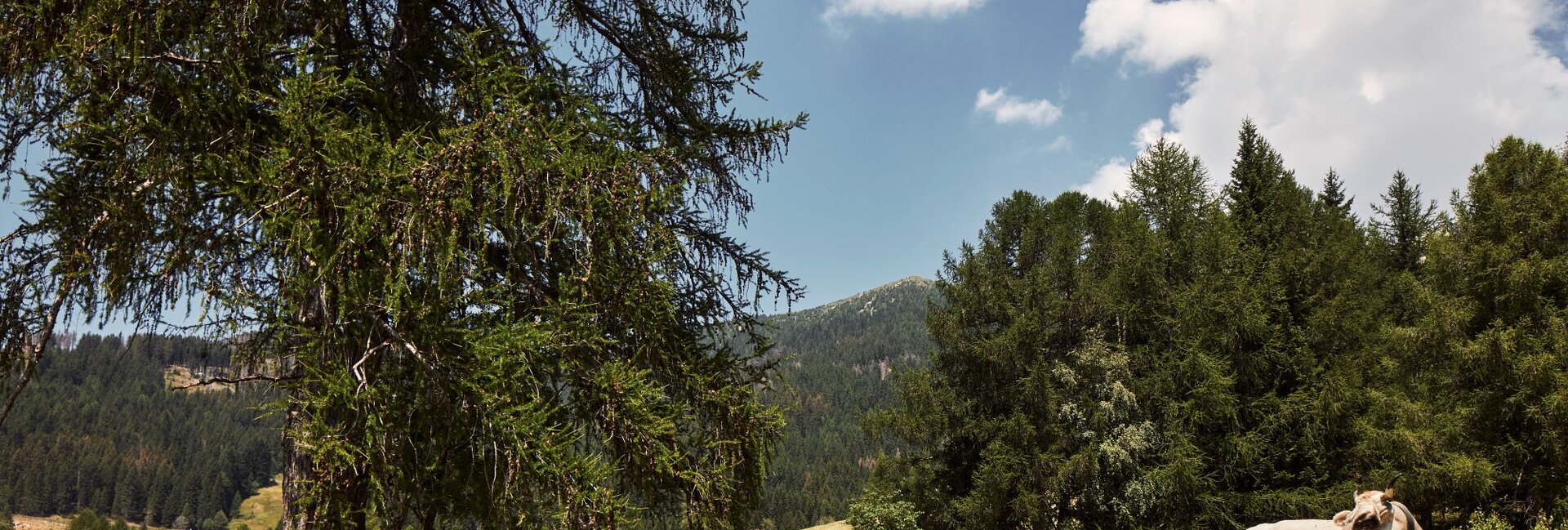 Valle dei Mòcheni