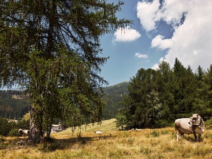 Valle dei Mòcheni
