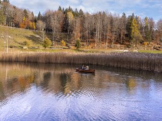Lake Lavarone - On Freud’s footsteps