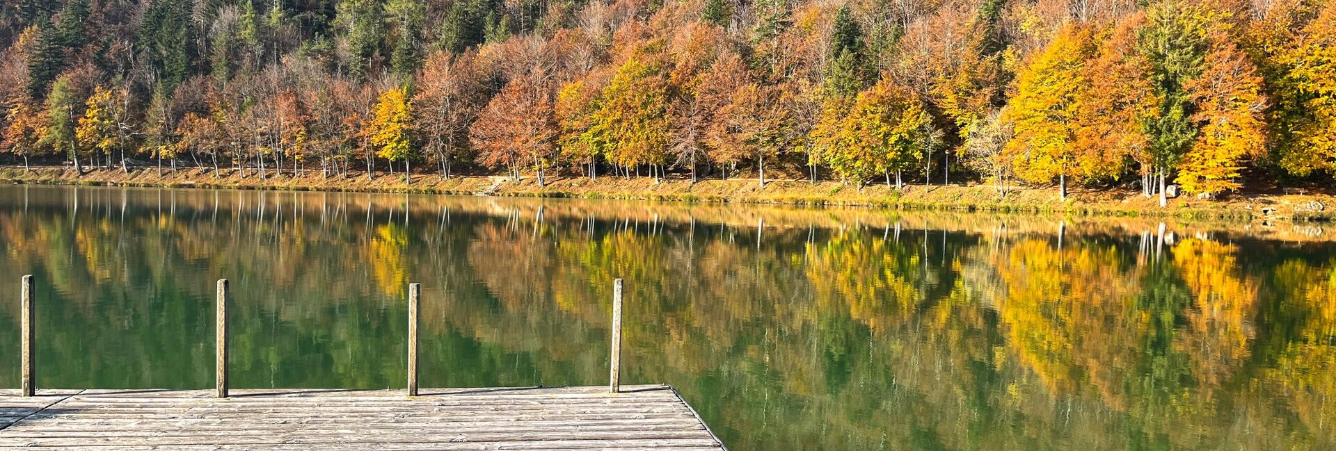 Lake Lavarone - On Freud’s footsteps