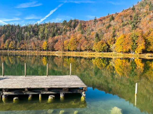 Lake Lavarone - On Freud’s footsteps