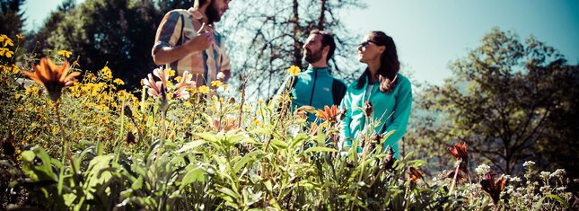 Мале - Валь-ди-Соле - Музей меда – открой для себя невероятный мир пчел