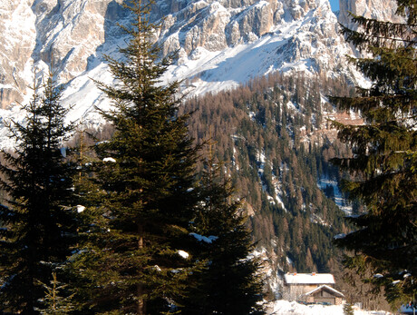 Cross-country skiing San Martino di Castrozza