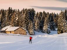 Ski holidays Folgaria
