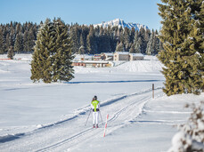 The Millegrobbe cross-country ski Centre
