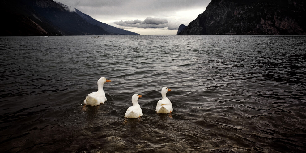 Lago di Garda