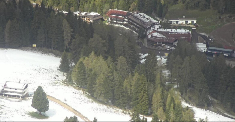 Webcam Pampeago  - Predazzo -  Obereggen - Passo Feudo
