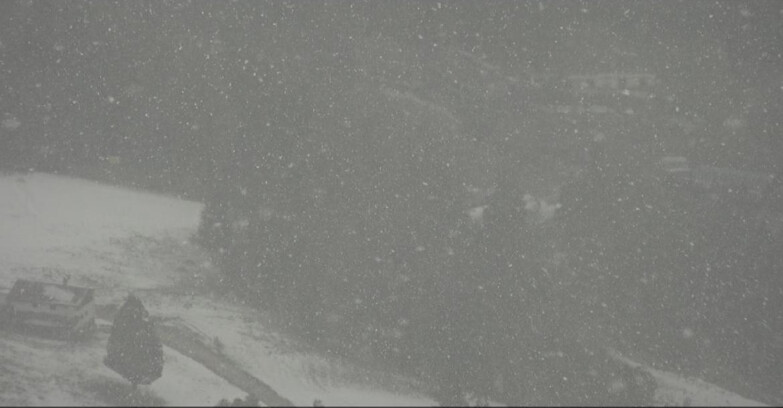 Webcam Pampeago  - Predazzo -  Obereggen - Passo Feudo