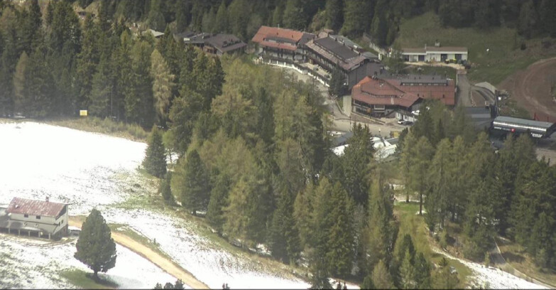 Webcam Pampeago  - Predazzo -  Obereggen - Passo Feudo