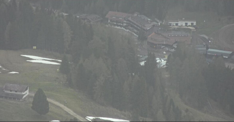 Webcam Pampeago  - Predazzo -  Obereggen - Passo Feudo