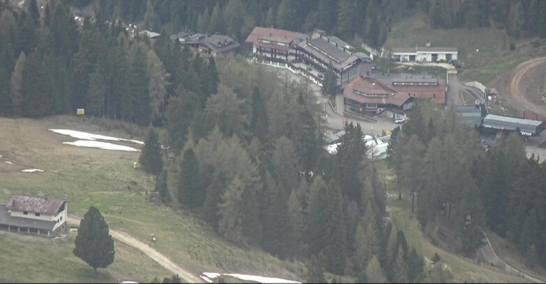 Webcam Pampeago  - Predazzo -  Obereggen - Passo Feudo