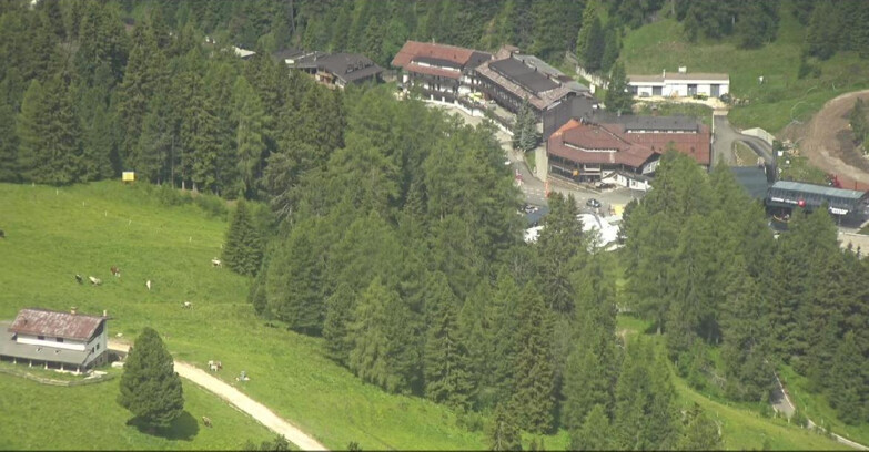 Webcam Pampeago  - Predazzo -  Obereggen - Passo Feudo
