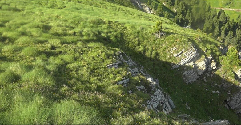 Webcam Pampeago  - Predazzo -  Obereggen - Passo Feudo
